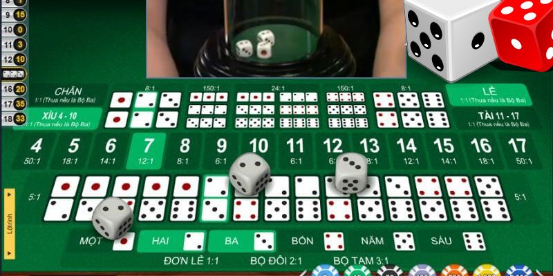 Lựa chọn nhà cái cá cược casino 789Win Lựa chọn nhà cái cá cược casino 789Win
