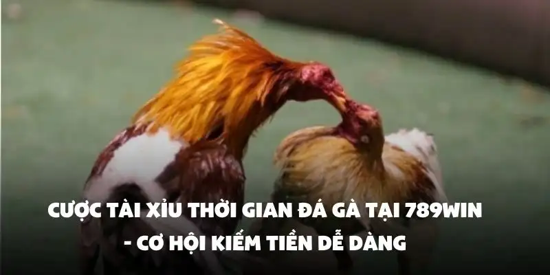 Cược tài xỉu thời gian đá gà tại 789Win - Cơ hội kiếm tiền dễ dàng