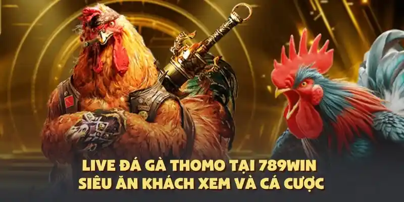 đá gà thomo 789win