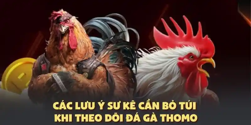 Lưu ý quan trọng để dễ dàng chiến thắng cá cược thomo
