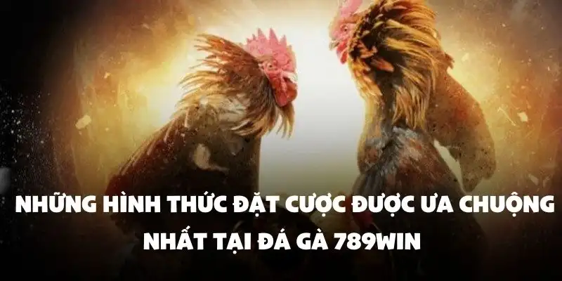 Những hình thức đặt cược được ưa chuộng nhất tại Đá Gà 789Win