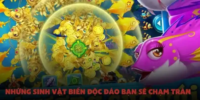 Những sinh vật biển độc đáo bạn sẽ chạm trán