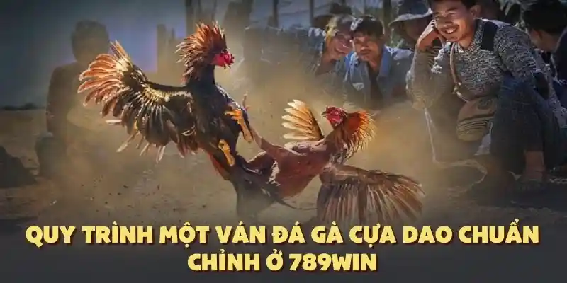 Quy trình đá gà cựa dao ở 1 ván thực tế