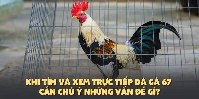 Vấn đề nên kiểm tra kỹ